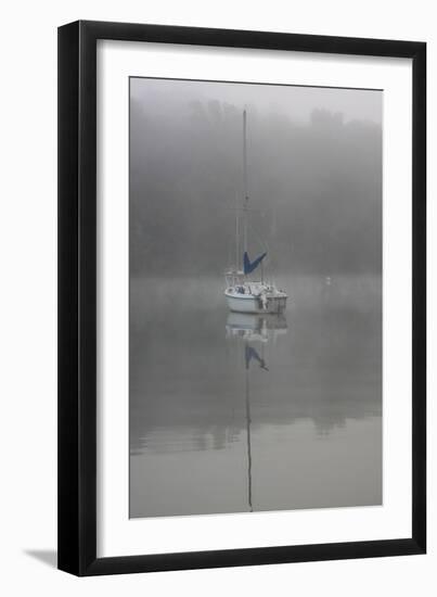 Blue Sail-Tammy Putman-Framed Photographic Print