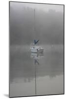 Blue Sail-Tammy Putman-Mounted Photographic Print