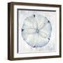 Blue Sand Dollar-Eli Jones-Framed Art Print