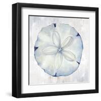 Blue Sand Dollar-Eli Jones-Framed Art Print