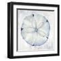 Blue Sand Dollar-Eli Jones-Framed Art Print