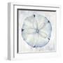 Blue Sand Dollar-Eli Jones-Framed Art Print