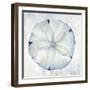 Blue Sand Dollar-Eli Jones-Framed Art Print