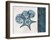 Blue Scroll Starfish 1-Albert Koetsier-Framed Art Print