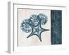 Blue Scroll Starfish 1-Albert Koetsier-Framed Art Print