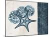 Blue Scroll Starfish 1-Albert Koetsier-Mounted Art Print