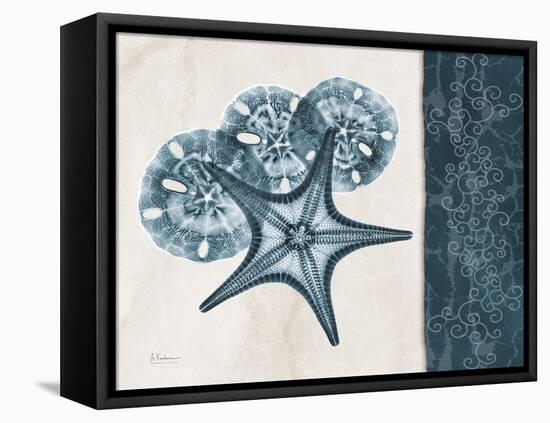 Blue Scroll Starfish 1-Albert Koetsier-Framed Stretched Canvas