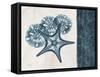 Blue Scroll Starfish 1-Albert Koetsier-Framed Stretched Canvas