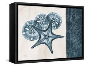 Blue Scroll Starfish 1-Albert Koetsier-Framed Stretched Canvas