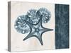 Blue Scroll Starfish 1-Albert Koetsier-Stretched Canvas