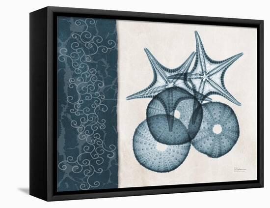 Blue Scroll Starfish 2-Albert Koetsier-Framed Stretched Canvas
