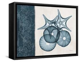 Blue Scroll Starfish 2-Albert Koetsier-Framed Stretched Canvas