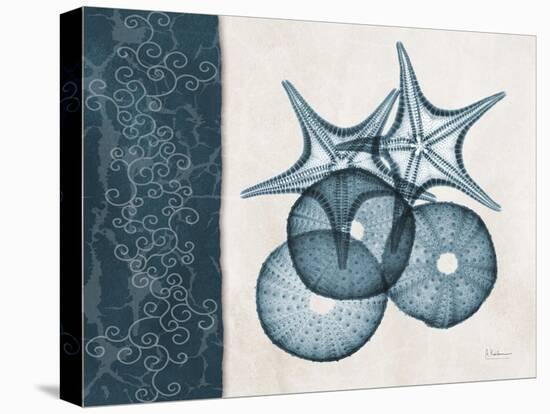 Blue Scroll Starfish 2-Albert Koetsier-Stretched Canvas