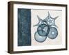 Blue Scroll Starfish 2-Albert Koetsier-Framed Art Print