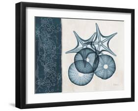 Blue Scroll Starfish 2-Albert Koetsier-Framed Art Print