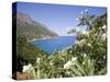 Blue Sea at Santa Maria Navarrese, Gulf of Orosei, Sardinia, Italy, Mediterranean, Europe-Olivieri Oliviero-Stretched Canvas