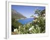 Blue Sea at Santa Maria Navarrese, Gulf of Orosei, Sardinia, Italy, Mediterranean, Europe-Olivieri Oliviero-Framed Photographic Print