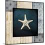 Blue Sea Bumpy Star-LightBoxJournal-Mounted Giclee Print