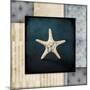 Blue Sea Bumpy Star-LightBoxJournal-Mounted Giclee Print