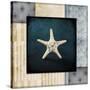 Blue Sea Bumpy Star-LightBoxJournal-Stretched Canvas