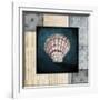 Blue Sea Clam Shell 2-LightBoxJournal-Framed Giclee Print
