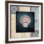 Blue Sea Clam Shell 2-LightBoxJournal-Framed Giclee Print