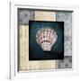 Blue Sea Clam Shell 2-LightBoxJournal-Framed Giclee Print