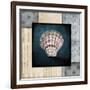 Blue Sea Clam Shell 2-LightBoxJournal-Framed Giclee Print