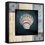 Blue Sea Clam Shell 2-LightBoxJournal-Framed Stretched Canvas