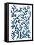 Blue Sea Coral I-Aimee Wilson-Framed Stretched Canvas