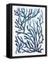 Blue Sea Coral II-Aimee Wilson-Framed Stretched Canvas