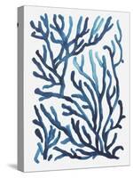 Blue Sea Coral II-Aimee Wilson-Stretched Canvas
