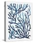 Blue Sea Coral II-Aimee Wilson-Stretched Canvas