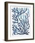 Blue Sea Coral II-Aimee Wilson-Framed Art Print