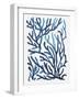 Blue Sea Coral II-Aimee Wilson-Framed Art Print