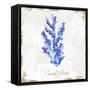 Blue Sea Coral-Eva Watts-Framed Stretched Canvas