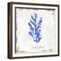 Blue Sea Coral-Eva Watts-Framed Art Print