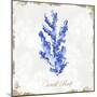 Blue Sea Coral-Eva Watts-Mounted Art Print