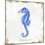 Blue Sea Horse-Eva Watts-Mounted Art Print