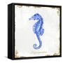 Blue Sea Horse-Eva Watts-Framed Stretched Canvas