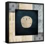 Blue Sea Sand Dollar-LightBoxJournal-Framed Stretched Canvas