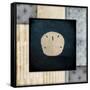 Blue Sea Sand Dollar-LightBoxJournal-Framed Stretched Canvas