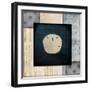 Blue Sea Sand Dollar-LightBoxJournal-Framed Giclee Print