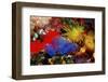 Blue Sea Squirts or Tunicates (Dendrophillia) and Yellow Cave Coral (Tubastrea)-Reinhard Dirscherl-Framed Photographic Print