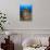 Blue Sea Star and brilliant red sea fans near Komba Island in the Flores Sea, Indonesia-Stuart Westmorland-Photographic Print displayed on a wall