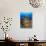 Blue Sea Star and brilliant red sea fans near Komba Island in the Flores Sea, Indonesia-Stuart Westmorland-Photographic Print displayed on a wall