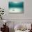 Blue Sea Star in Open Ocean-null-Stretched Canvas displayed on a wall