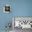 Blue Sea Starfish-LightBoxJournal-Giclee Print displayed on a wall