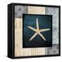 Blue Sea Starfish-LightBoxJournal-Framed Stretched Canvas