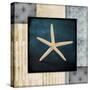 Blue Sea Starfish-LightBoxJournal-Stretched Canvas